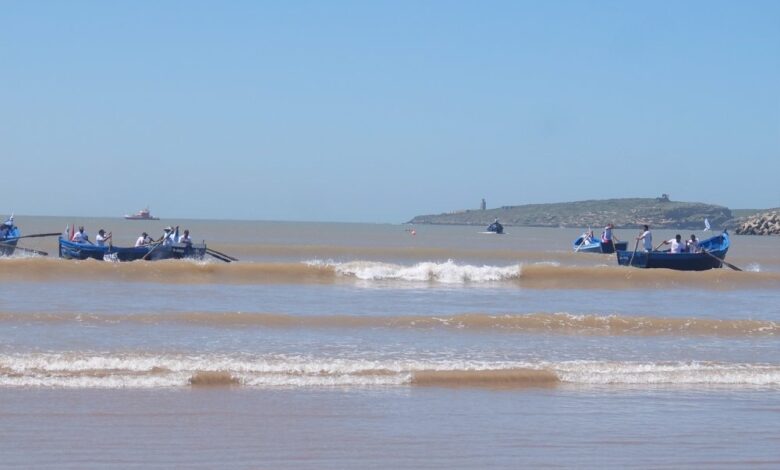 course de barques des pêcheurs d'Essaouira