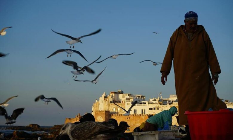 port d'essaouira